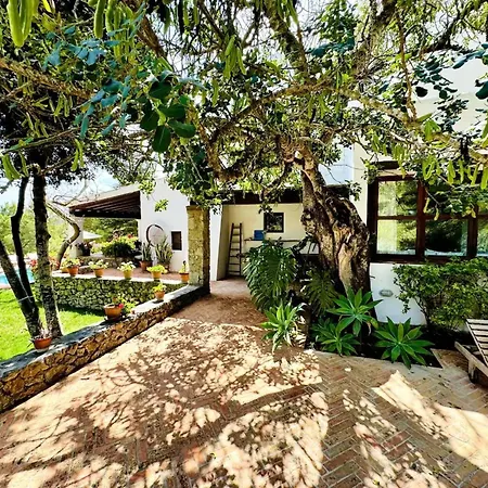 Ses Casetes Ibiza